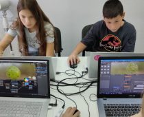 New-IT-School-3D-13